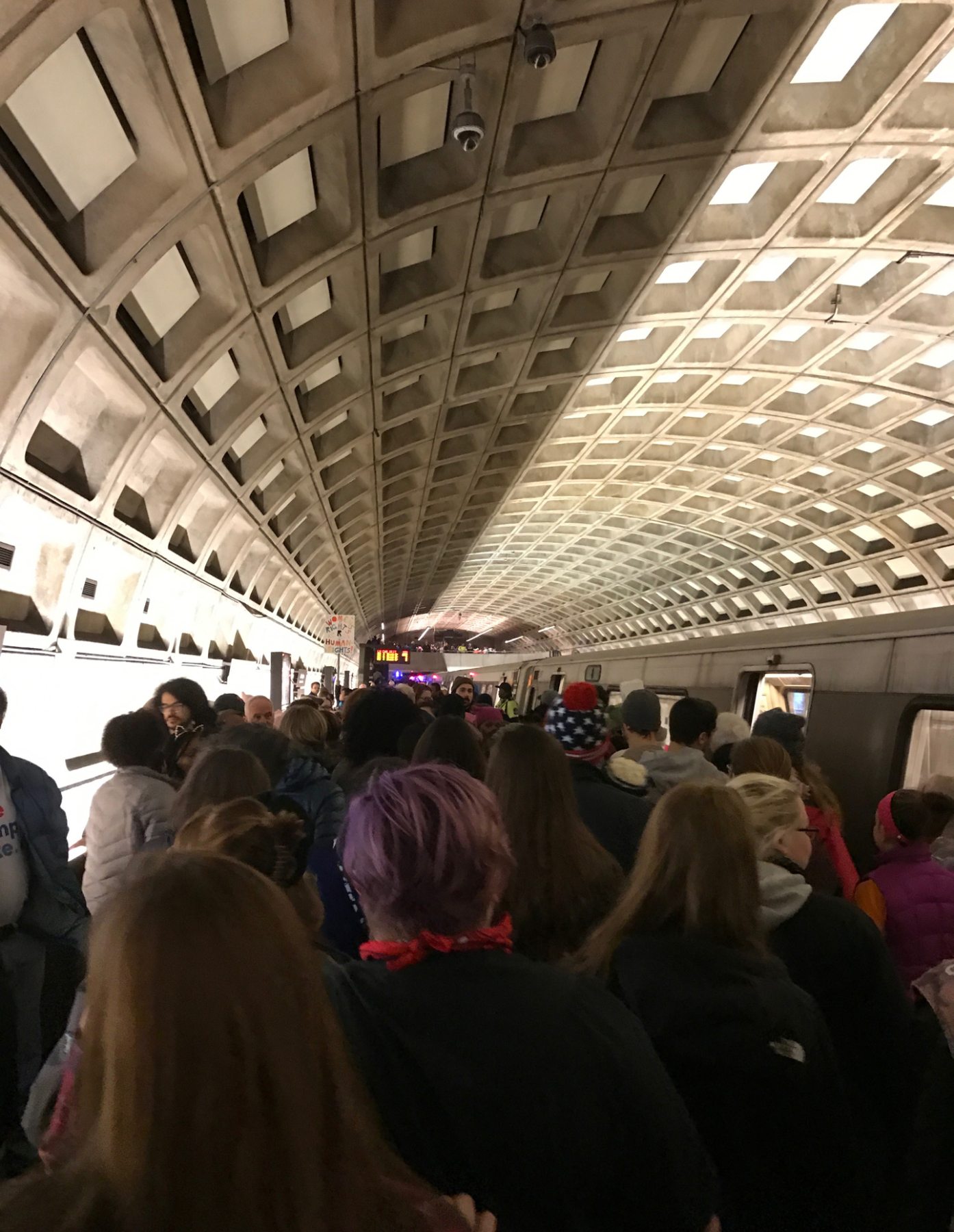 Image DC Metro Womens March