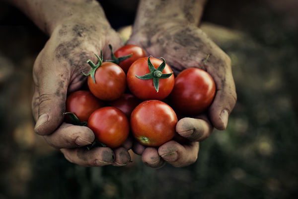 Image urban farmer