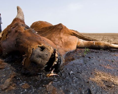 Main Somali drought