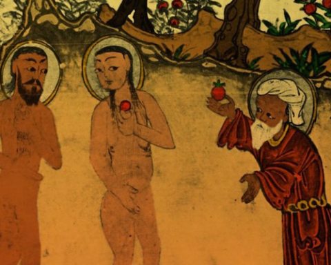 Image Turkey to refuse teaching evolution in schools