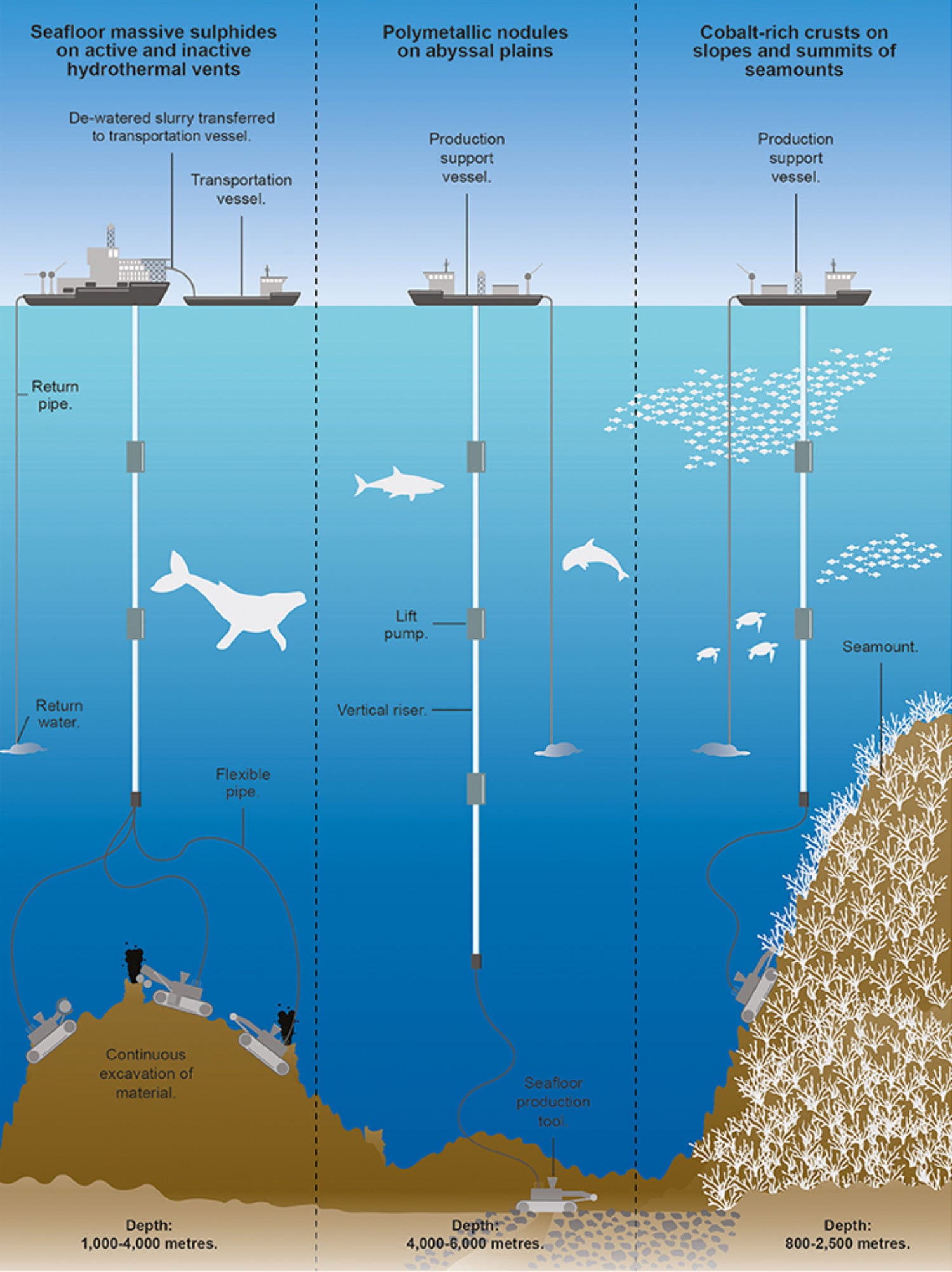 Deep sea mining raises critical issues for the International Seabed ...