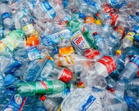 Image America's obsession with plastic [Lima Charlie News]