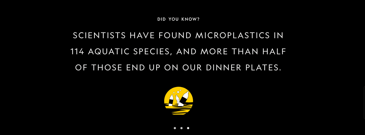 image microplastic