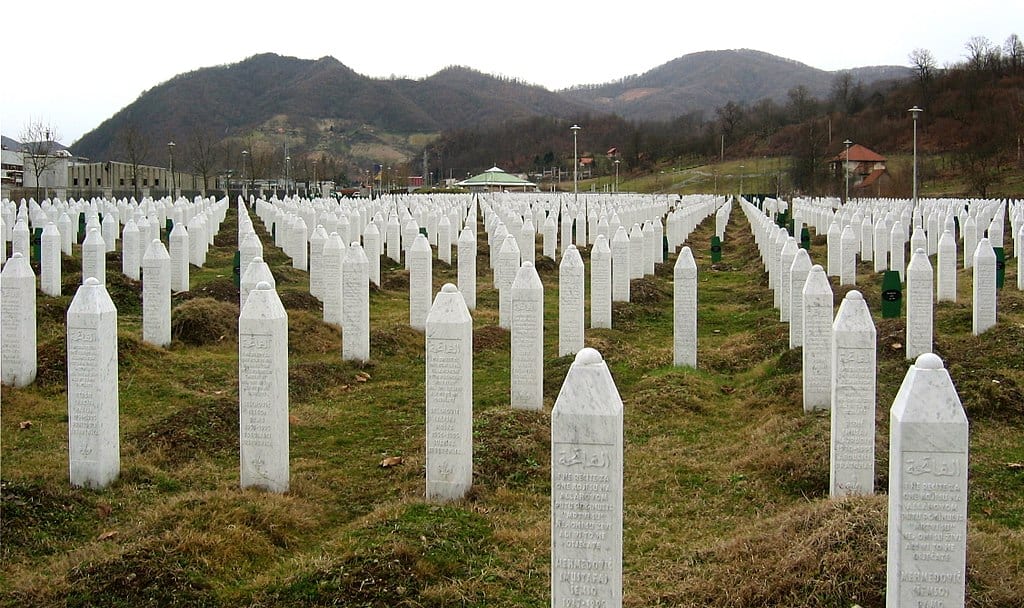 Image [Gravestones at the Potočari genocide memorial near Srebrenica (Michael Büker)]